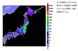 セシウム分布